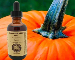 Pumpkin Oil (organic, undiluted, cold)