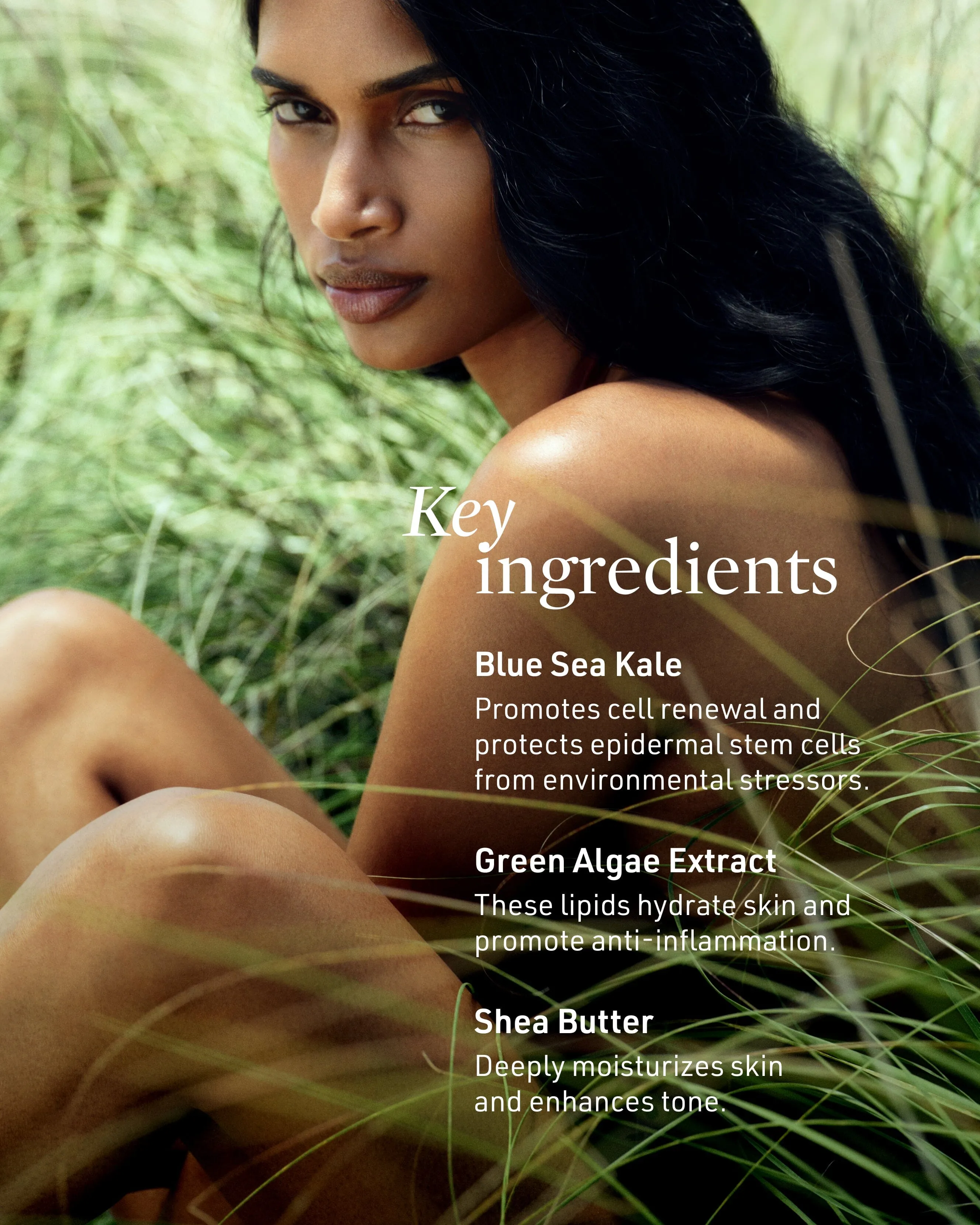 Submerge Green Algae Body Cream